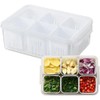 Scallion Ginger Garlic Fresh-Keeping Box, 6 Grids Detachable Drain Basket