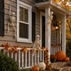 2 Pcs Posable Halloween Skeleton for Spooky Decorating – 15.7-Inch