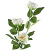 Solar Power LED Camellia Flower Light for Outdoor Yard Garden