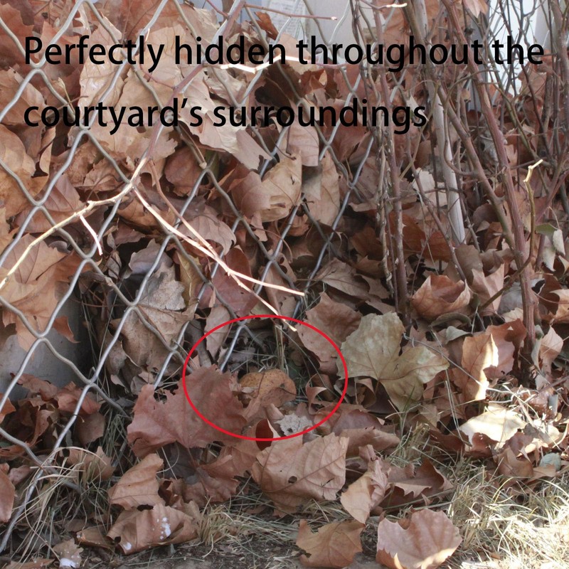 Spare Key Hider Rock - Easily Hide a Key Outside