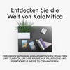 KalaMitica - Magnetic Pen Holder, Marker Holder, Flower Pot -