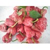 Padron Chilli Seeds - Padron Pepper Seeds