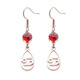 NC Zodiac Sign Earring with Birthstone Birthday Gift for Women Girls Horoscope Jewelry Astrology Gift for Family Friend (CancerRG)