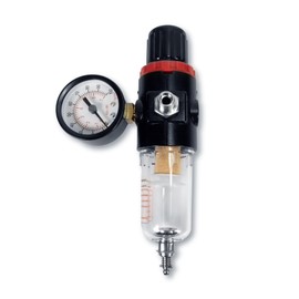 in-Line Low Pressure Air Regulator with Gauge and Moisture Trap Filter by NO-NAME Brand