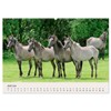 Dülmener Wildpferde (Wandkalender 2026 DIN A2 quer), CALVENDO Monatskalender