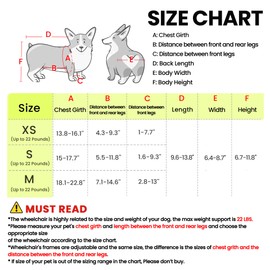 Dog Wheelchair for Back Legs, for Small Breed Dog - Includes High-Visibility Vest, Leash & Sling Lift, for Arthritis, Paralyzed, Injured, or Disabled Dogs