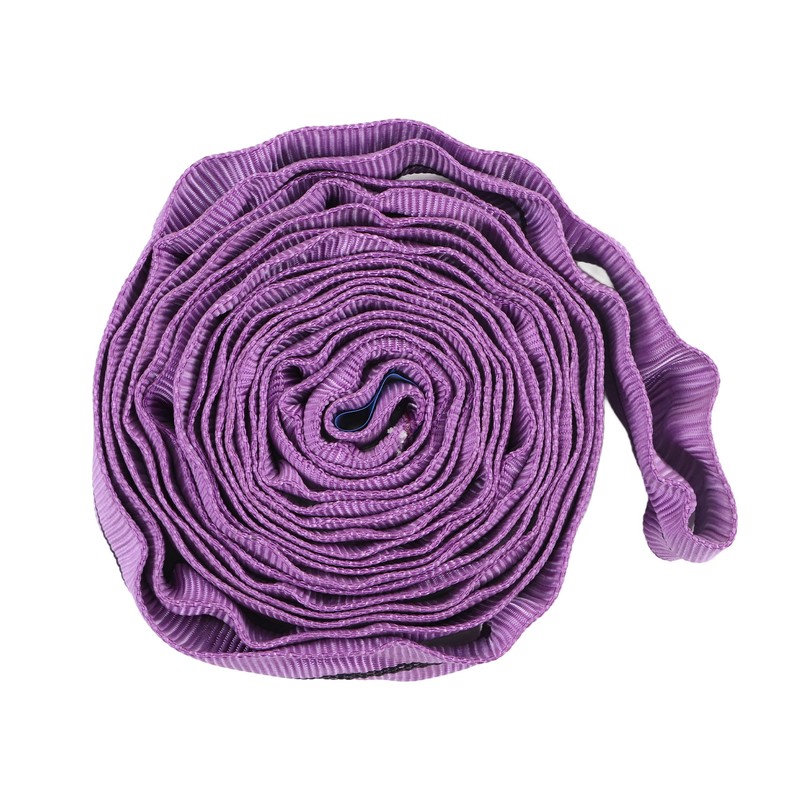 Lifting Sling Hoist Webbing 1T Polyester Rigging Strap Purple for