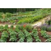 FRONTIER SEED CO. USA Survival Heirloom Seed Bank 6 varieties