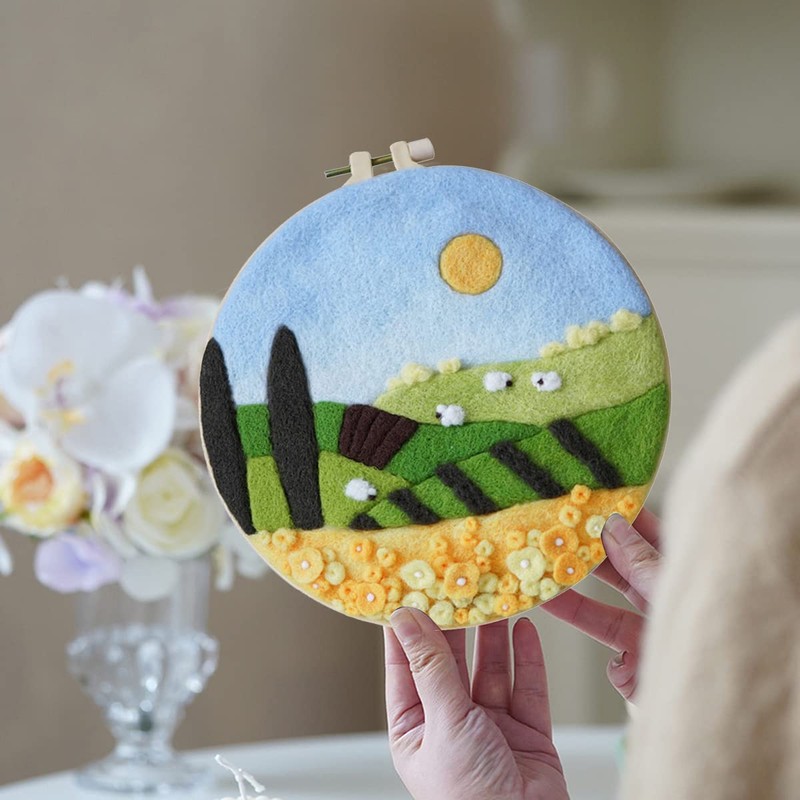 DARALIS Needle Felt Starter Kit-Wool Needle Supplies Set for Beginners,Used