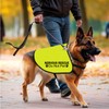 Nervous Ask To Pet/Do Not Approach Jacket - Rescue Dog
