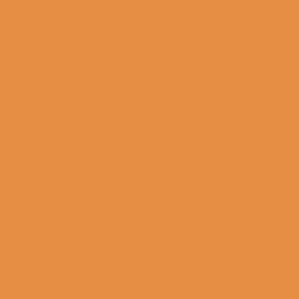 Derwent Lightfast Pencil - Apricot