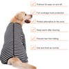 Dog Recovery Suit Full-Zipper After Post-Surgery Large Medium Dogs, Dog