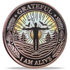 Grateful Serenity Recovery Coin Inspirational Sobriety Chip with Serenity Prayer AA Medallion
