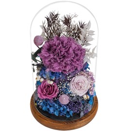 Loveliome Long Lasting Rose Carnations Fresh Flowers Present for Women Mom Grandma, Real Foever Delivery Prime Flowers Bouquet in Glass Dome LED Light with for Home Decor, Purple