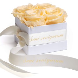 ROSEMARIE SCHULZ Heidelberg Roses in Box with Infinity Champagne Roses - Preserved Eternal Flowers, A Valentine's Day Gift for Women (Seni Seviyorum, Beige)