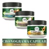 Kit Herbal Essences Cronograma Capilar, Crema de Cabello