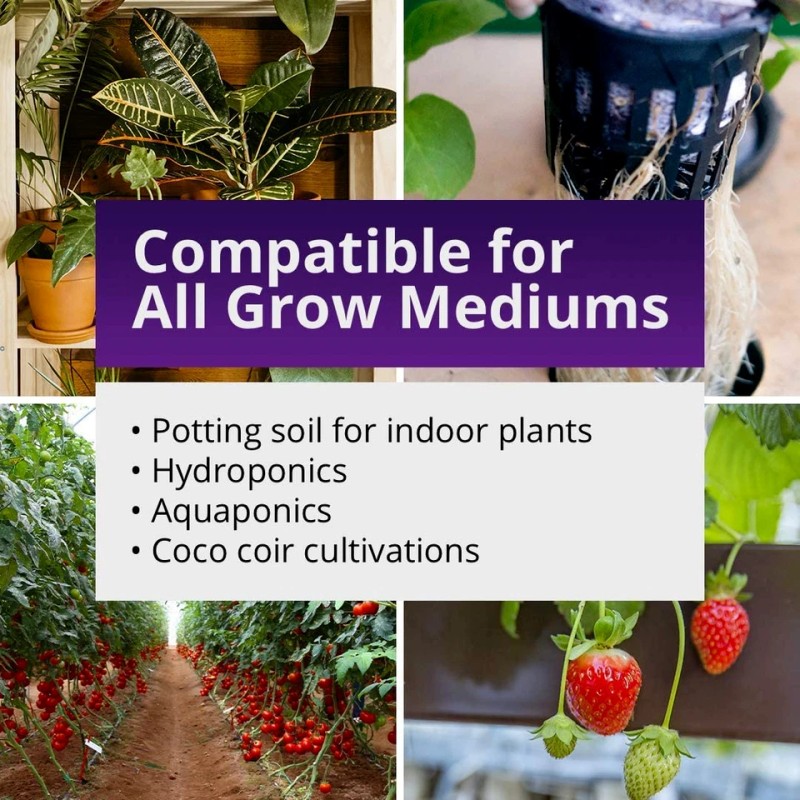 Humboldts Secret Sweet & Sticky Carbohydrate and Saccharide Energy Source