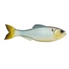 Panorama - Shad Clone - Size: 6.5" (2/pk)