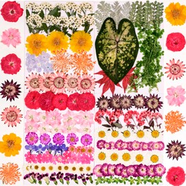 WXQX Natural Pressed Flowers and Leaves Kit, 156 Pieces Mixed Colors for Resin Art, Scrapbooking, Card Making, DIY Crafts (Green)