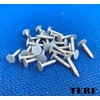 TERF® 10mm X 3mm Galvanised ELH Clout Nails 10mm (3/8'')