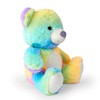 Mousehouse Gifts 25cm Rainbow Bear Soft Toy