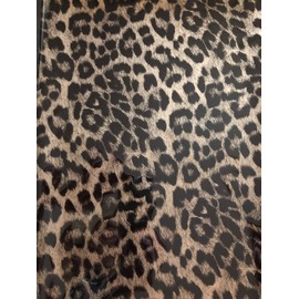 Metallic Foil - Cheetah Gold - Decorative Transfer Roll 12" x 3'