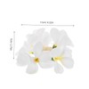 OATIPHO 4pcs Boho White Plumeria Hair Ties for Women Simulated