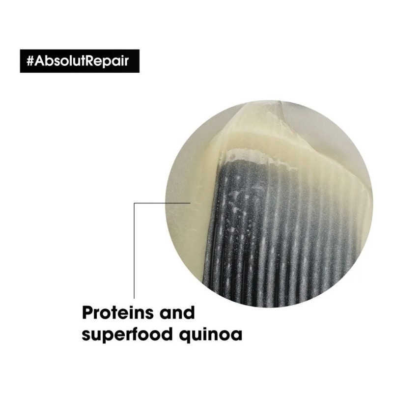 Loreal Serie Expert Absolut Repair Protein Champú 10.1 Oz