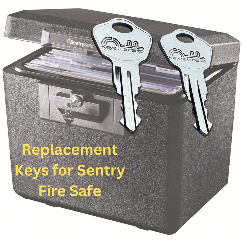 Pair of Replacement Keys for Sentry Safe Lock Boxes, Fire