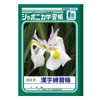 Showa B5 JL-48 Notebook, Japonica Study Book, Kanji Practice, 50
