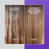 Shampoo matizador morado | Para canas y rubios | Extracto