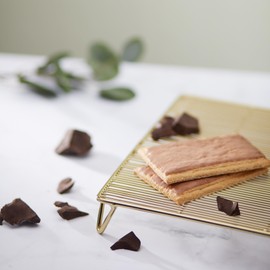 Nature's Path Organic Frosted Lotta Chocolotta Toaster Pastries, 11 oz (Pack of 1), Non-GMO