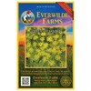 Everwilde Farms - 1 Oz Golden Alexanders Native Wildflower Seeds