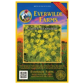 Everwilde Farms - 1 Oz Golden Alexanders Native Wildflower Seeds - Gold Vault