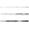 DAIWA Seahunter X Pilk Coalfish 902H, 2 Pieces, 2.70 m,