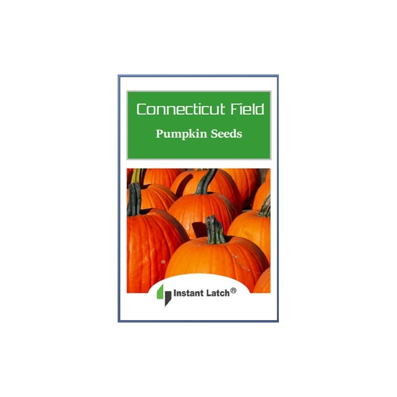 Connecticut Field Pumpkin Seeds | Non-GMO | Heirloom | Instant