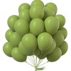 PartyWoo Olive Green Balloons 50 pcs 12 Inch Matte Sage