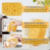 Flintronic Pack of 2 Bath Sponge, Large Natural Sponge for