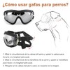 Gafas De Sol para Perros, Protección Ocular UV, Viento y