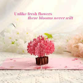 3D Sakura Cherry Blossom Tree Pop-Up Card – Intricate Laser-cut ‘Cherry Blossom Tree’ Details, All Occasion Greeting Card for Birthday, Valentine’s Day, Mother’s Day, Sympathy, Congratulations, Thank You, Anniversary, Wedding, Best Wishes, Thinking of Yo