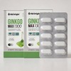 ANGET ORIGIN Enget Origin Ginkgo Max 1300 Ginkgo Leaf Extract 30 Capsules 2 Boxes / 엔젯오리진 징코맥스 1300 은행잎추출물 30캡슐 2박스