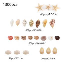 Baiinjiene 1300 PCS Small Seashells for Crafts, Tiny Mixed Sea Shells with Starfish, Natural Beach Seashells 0.4–1 Inch for DIY, Vase Filler, Aquarium, Wedding & Home Decor