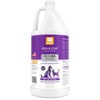 Nootie Champú restaurador con Aceite de argán, Suave pasión de