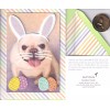 PAPYRUS EASTER CARD NIP (MRP $6.95) DOG W/BUNNY EARS CARD