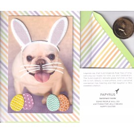 PAPYRUS EASTER CARD NIP (MRP $6.95) DOG W/BUNNY EARS CARD (O10)
