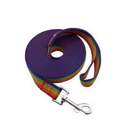 Nylon Training Dog Leash for Small Medium Large Dogs, 15ft 20ft 30ft 50ft Long Leash Dog/Puppy Lead for Obedience Recall Training, Camping (1" x 30ft, Rainbow)