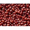 Bean Small Red Great Heirloom Garden Vegetable By Seed Kingdom 35 Seeds