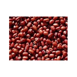 Bean Small Red Great Heirloom Garden Vegetable By Seed Kingdom 35 Seeds