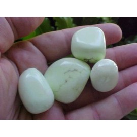 B0906 Gemqz Limestone Four Tumbled Polished Nice !!!