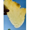 Imkerei Beck® - Natural propolis powder (100g), finely ground and